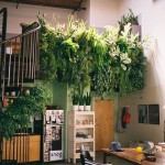 green home