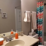 bathroom cleaning tips