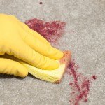 carpet and rug blood stain cleaning