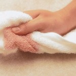 professional carpet cleaning tips 