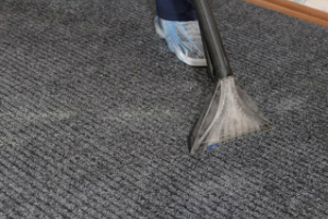 Carpet Cleaning Leaves Green