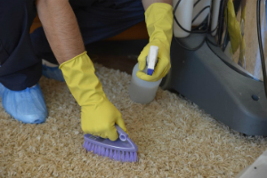 Carpet Cleaning Services Victoria Docks