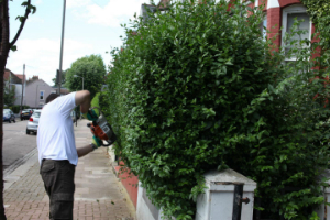 Gardening Services Chislehurst