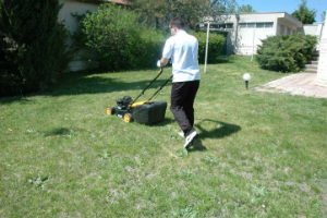 Charlton Gardening