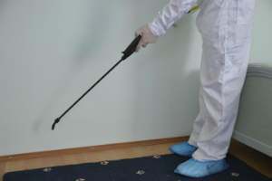 Pest Control Services Upper Clapton E5