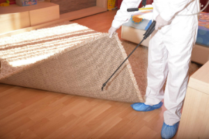 Pest Control Services London