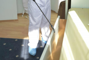 Pest Control Services Homerton