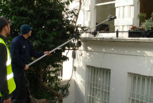 Expert Window Cleaning Leaves Green BR2