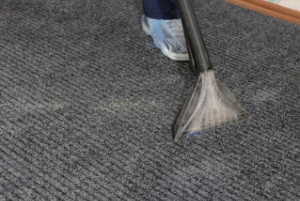 Carpet Cleaning Norwood Junction
