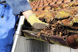 Gutter Cleaning In Plumstead